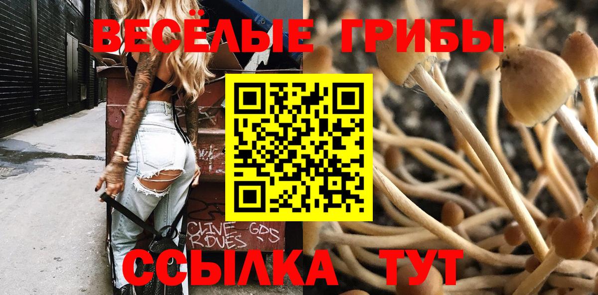Галлюциногенные грибы MAGIC MUSHROOMS  Псилоцибиновые грибы Cubensis  Вход с VPN  Советский 