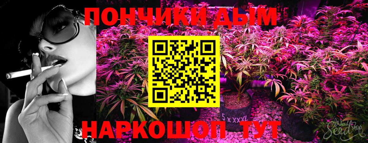 Советский  Канабис гибрид  Канабис тримм  Марихуана MAZAR  Вход с VPN 